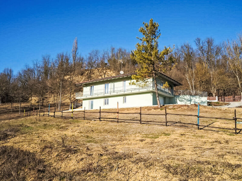 Balena