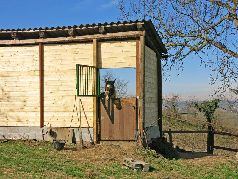 Paolo