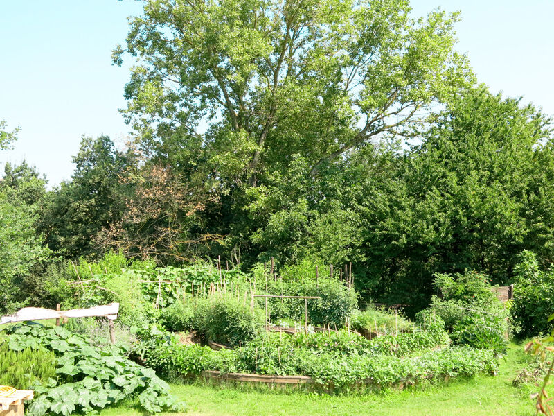 Tenuta Ortondo
