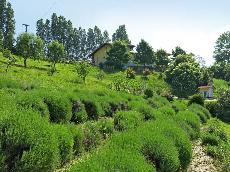 Agriturismo La Rovere