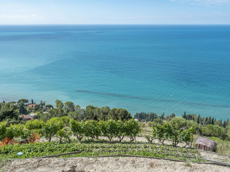 Vila Ginestra