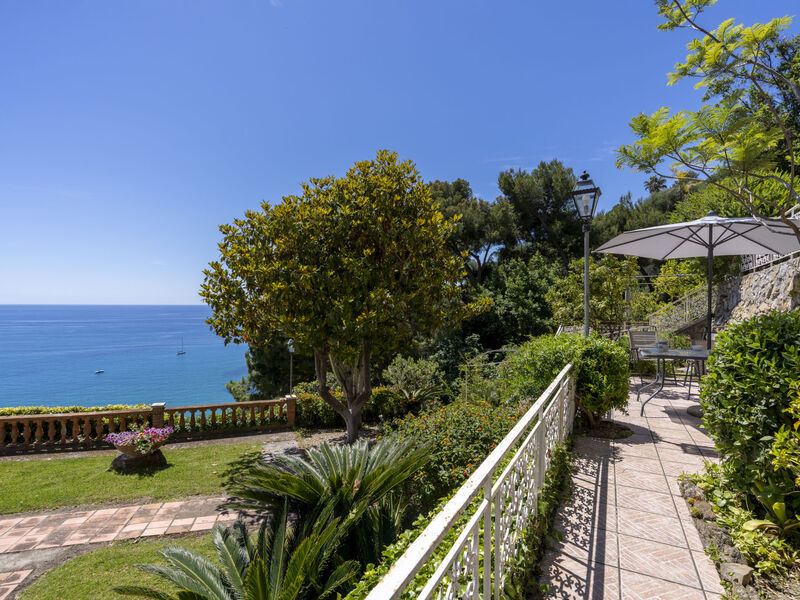 Belvedere