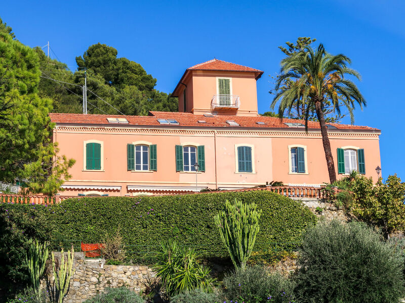 Belvedere