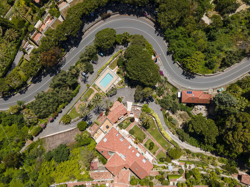 Belvedere