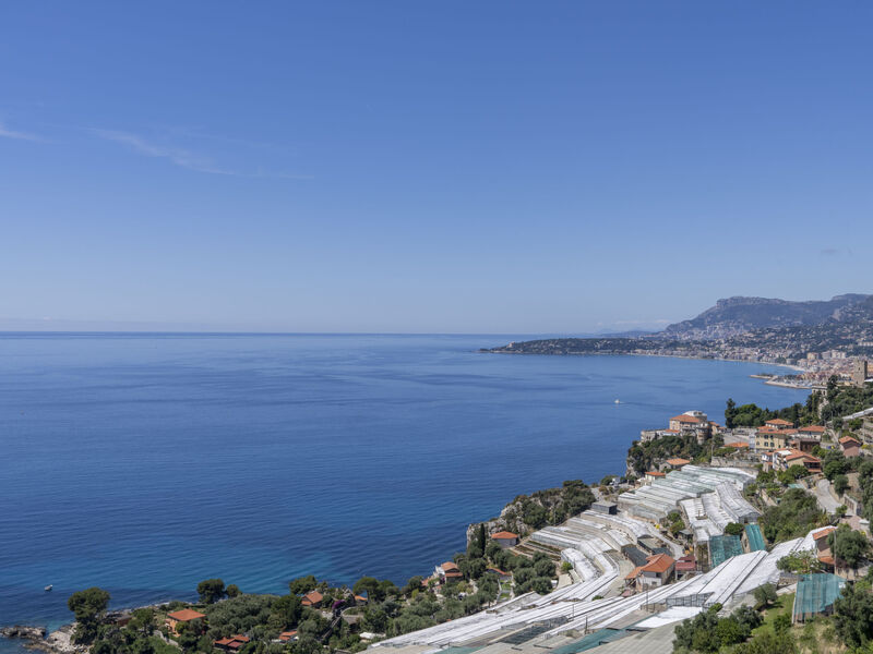 Vila incredible View