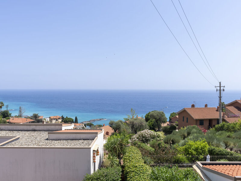 Beautiful View