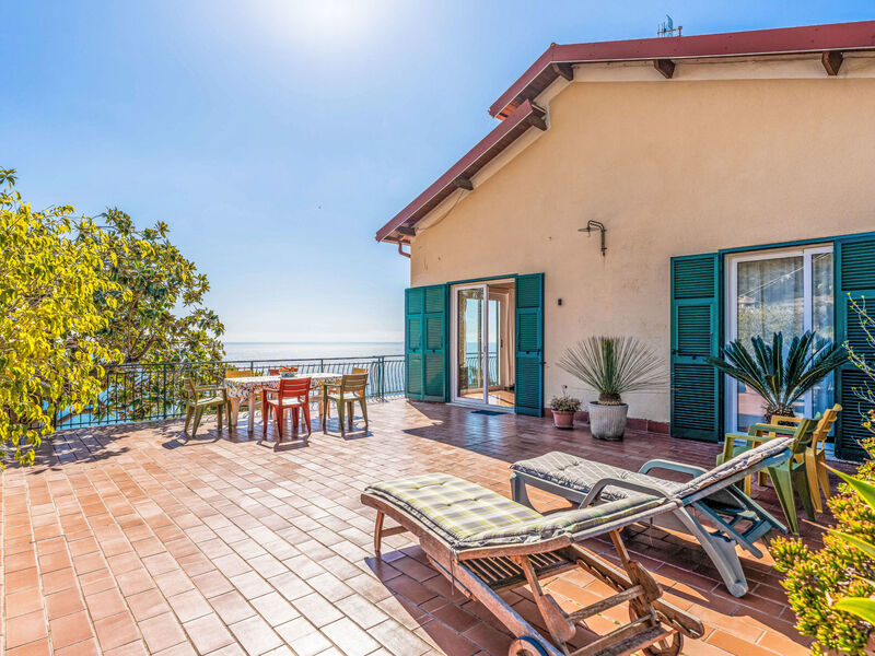 Casa Cycas