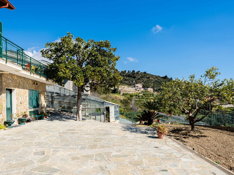 Casa Cycas