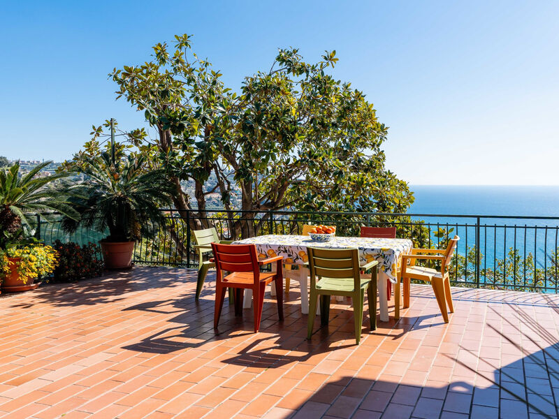Casa Cycas