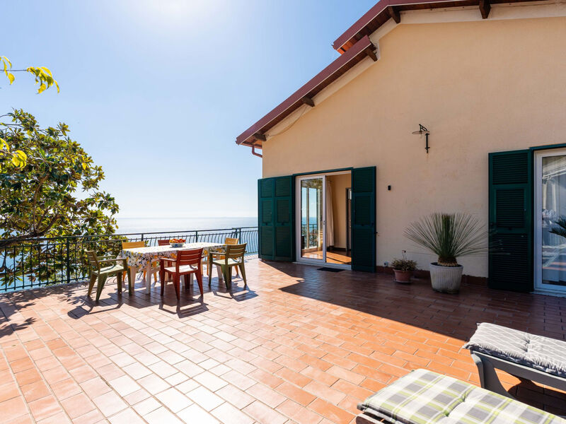 Casa Cycas