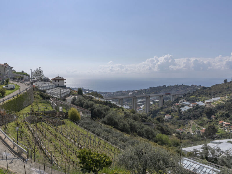 Casetta In Collina