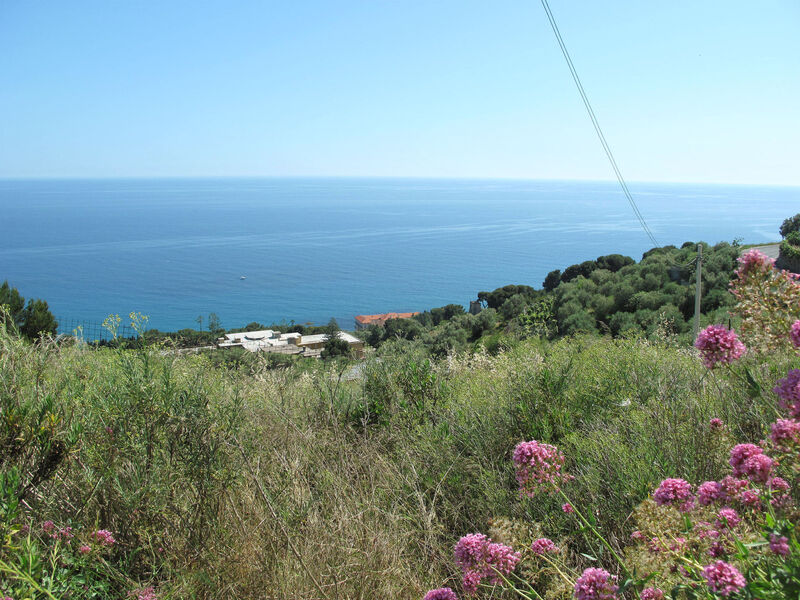 La Pineta