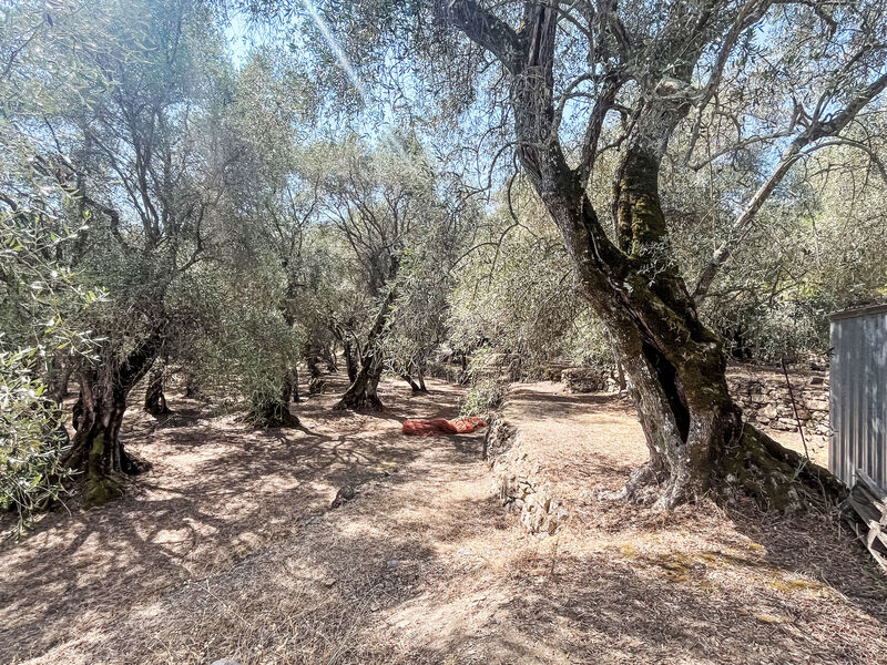 Casa Simona