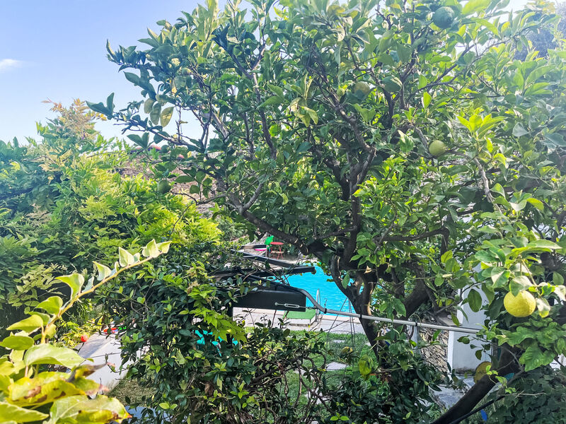 Casa Bella Vista