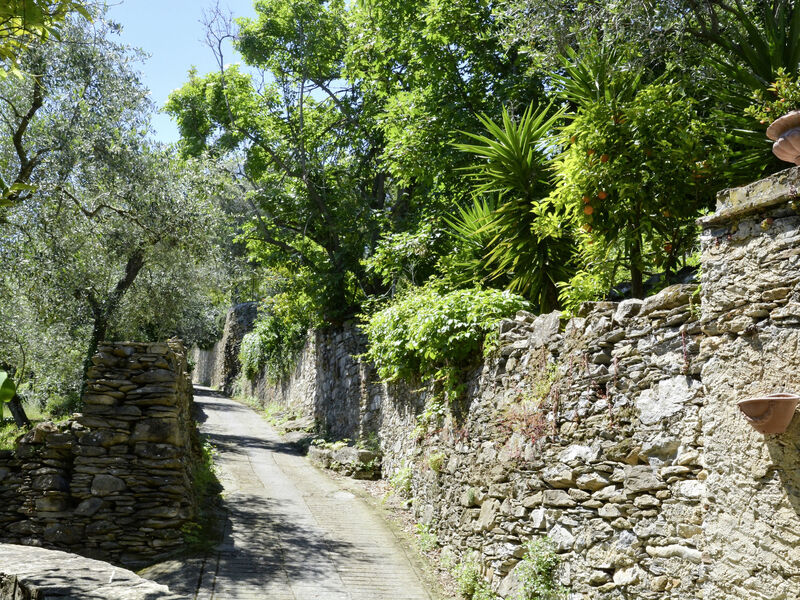 Casa Bella Vista