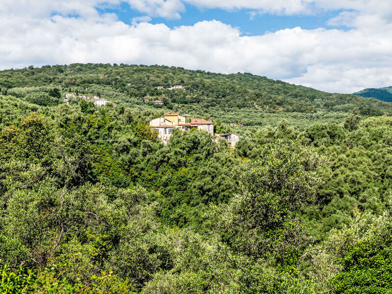 Sul Cammino