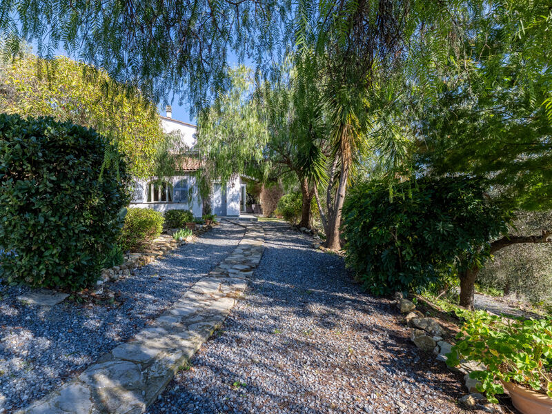 Vila degli Ulivi