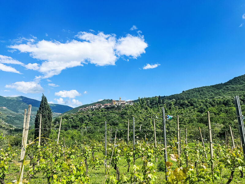 Casa Castagna