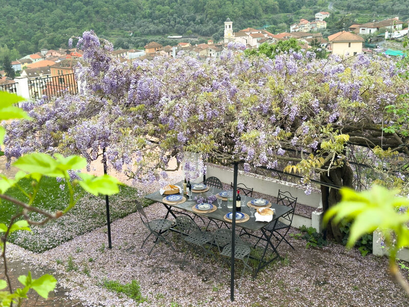 La Vigna