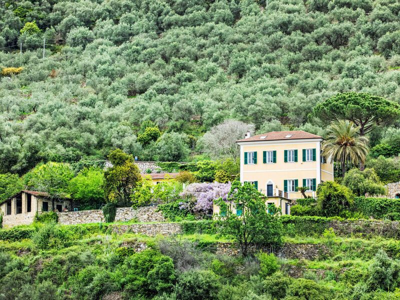 La Vigna