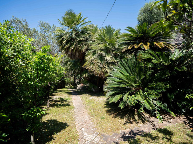 Vila Girasole