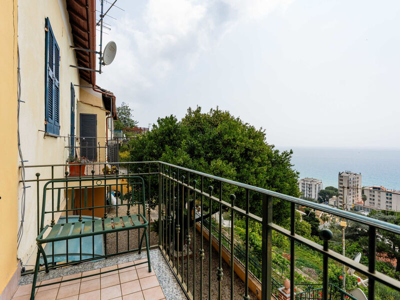 Belvedere Blu
