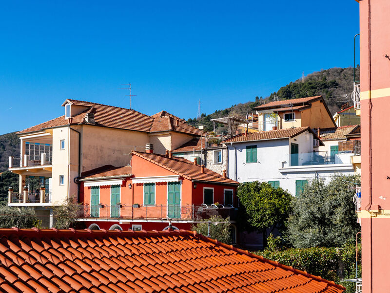 Terrazza con glicine