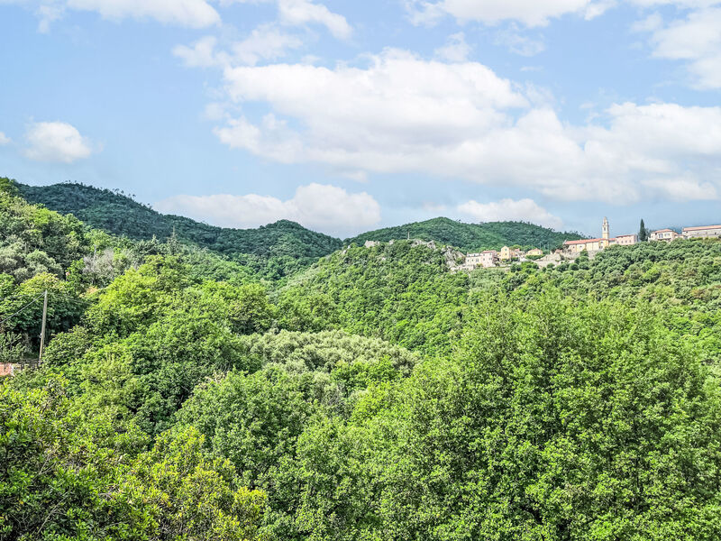 Virginia