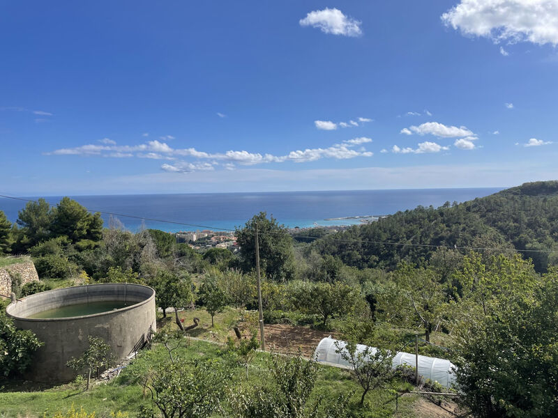 Del Pernambuco