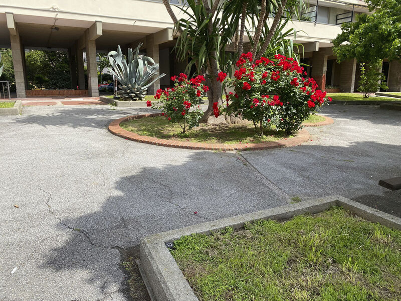 Wohnung CapoMare 100 Meter vom Meer entfernt