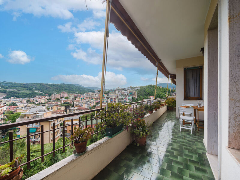 Caprifoglio