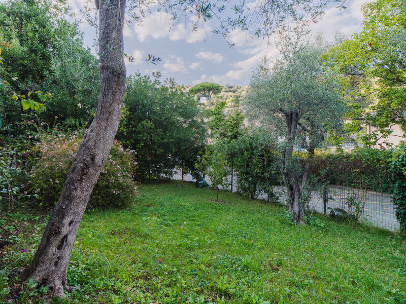Il Pigno