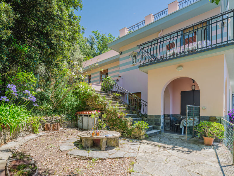 La Ginestra