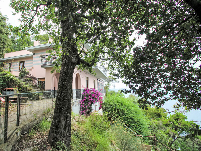 La Ginestra