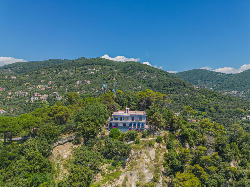 La Ginestra