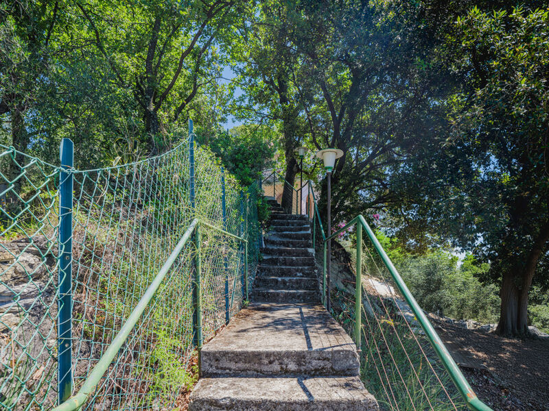 La Ginestra