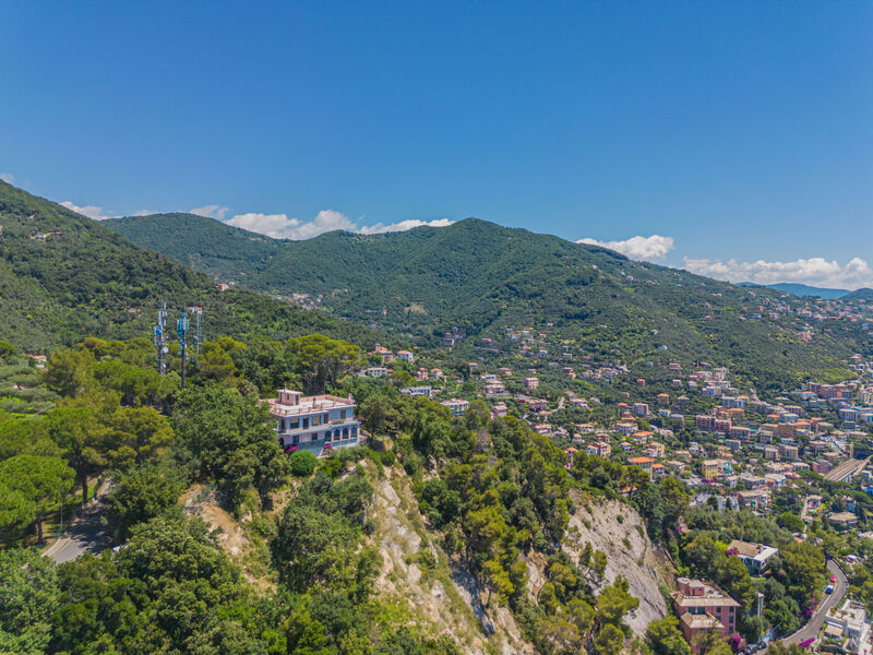 La Ginestra