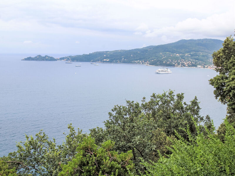 La Ginestra