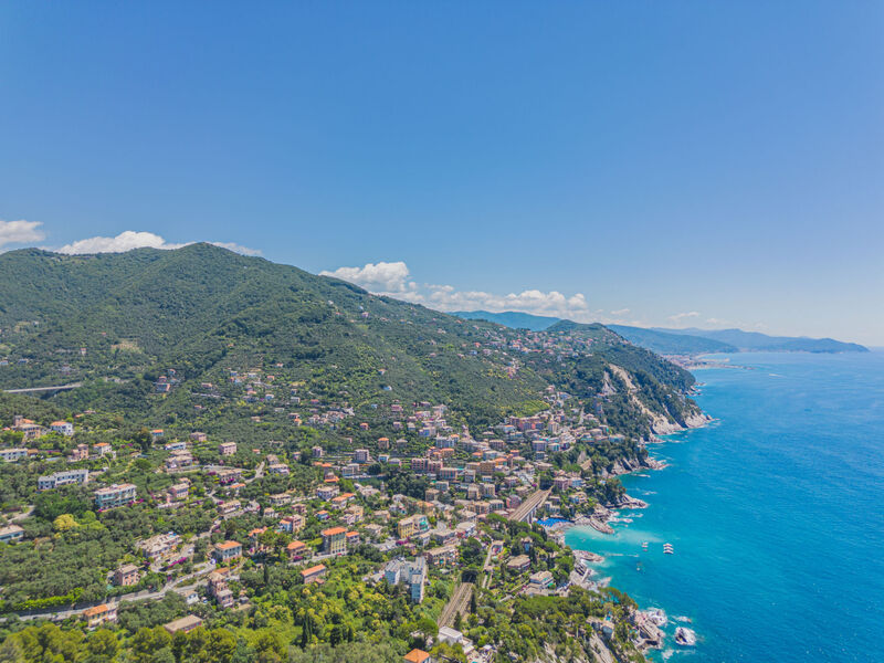 La Ginestra