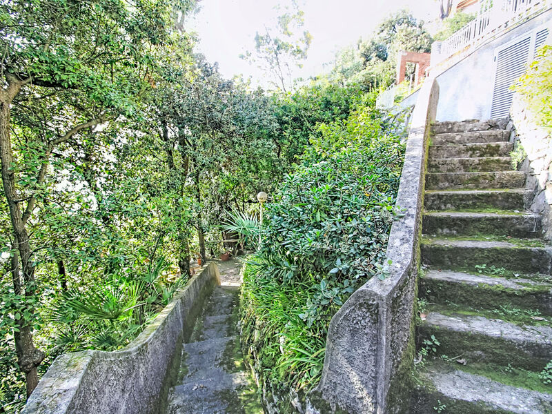 Laccadiva