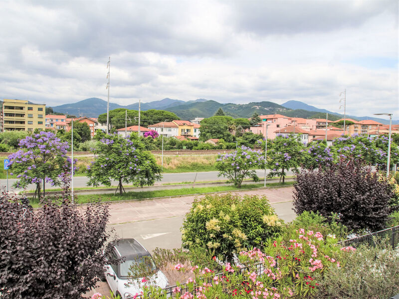 Caddy