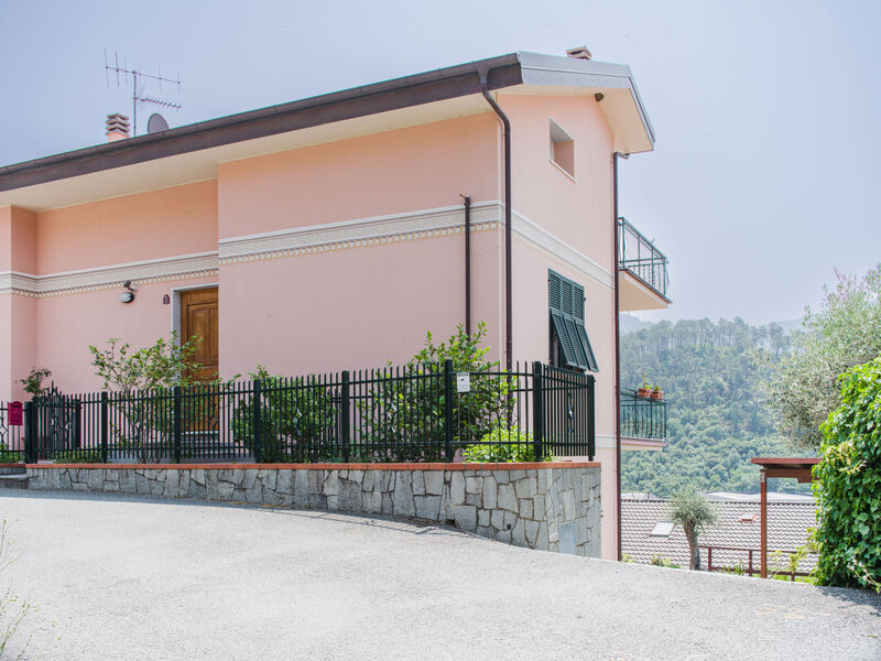 Il Caprifoglio