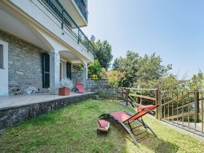 Lambrusca