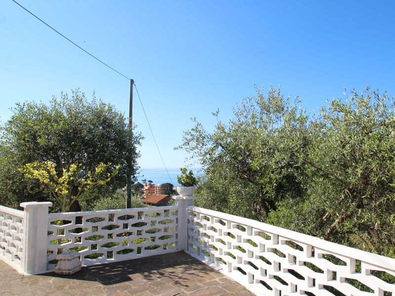 Casa Nueva