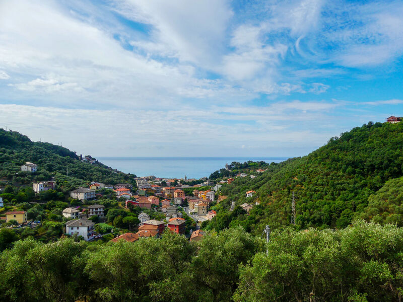 Sorvegallo