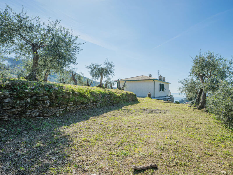 Sorvegallo