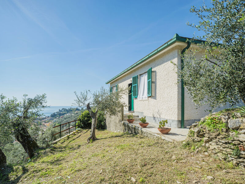 Sorvegallo