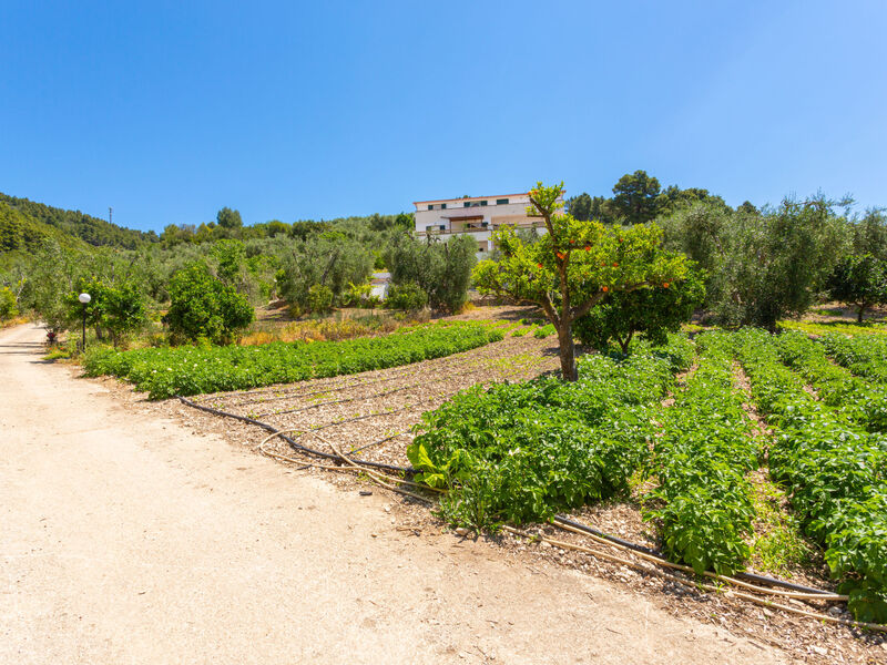 Vila Tavaglione