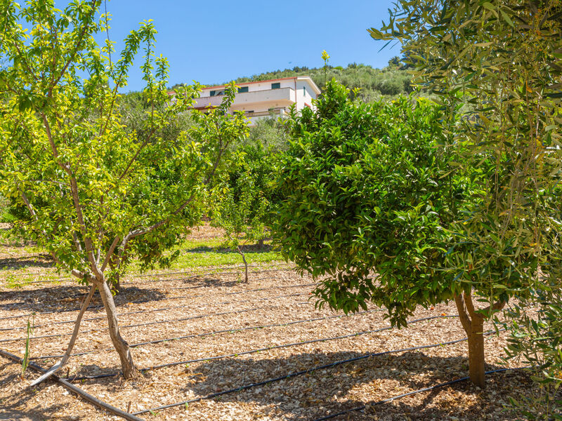 Vila Tavaglione