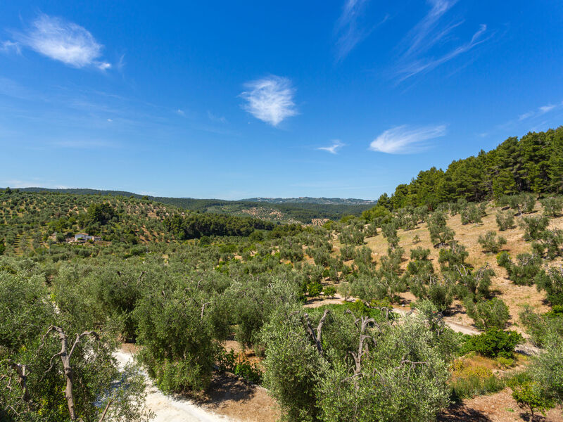 Vila Tavaglione